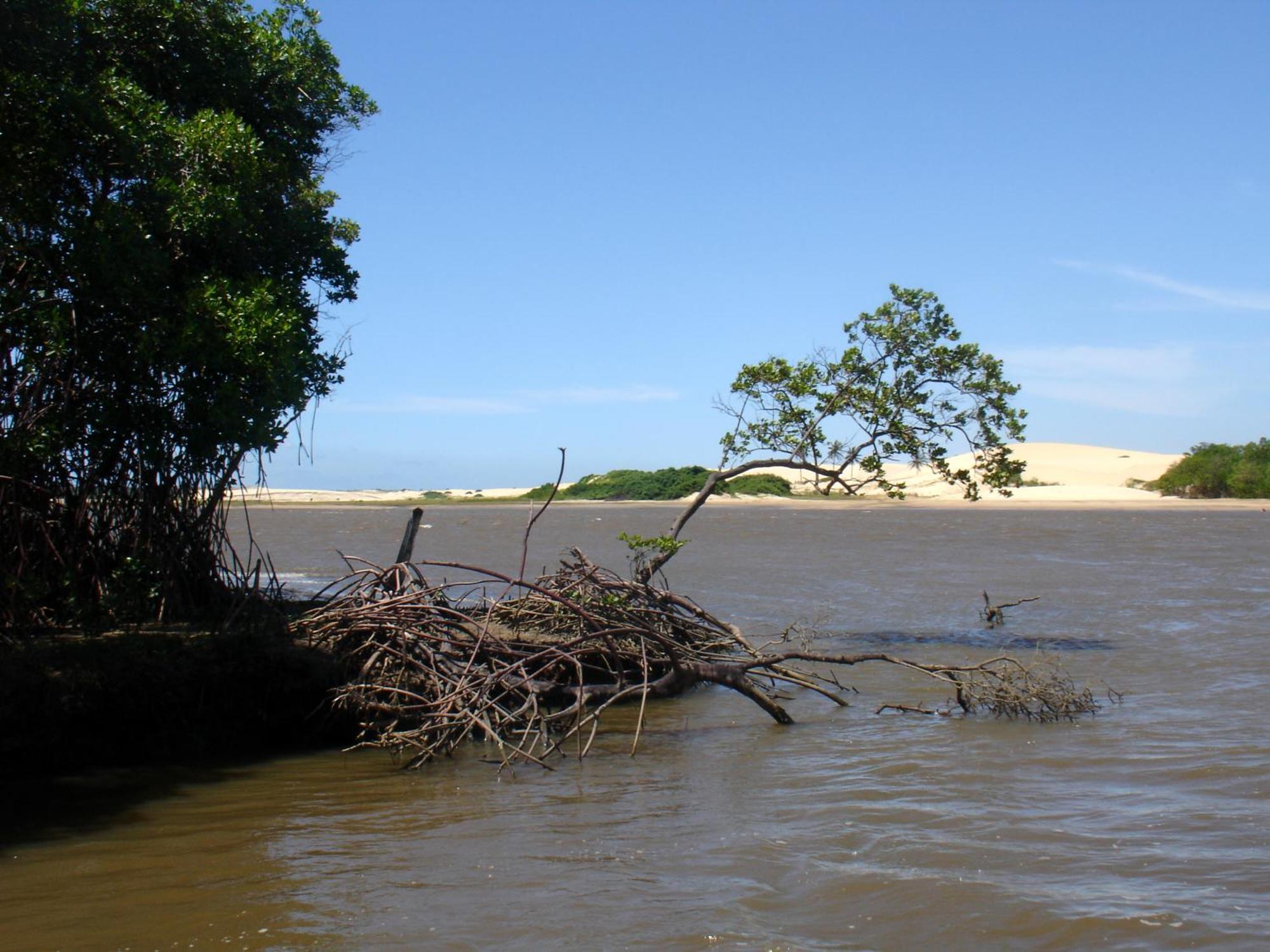 Pousada Barra Do Mundaú المظهر الخارجي الصورة
