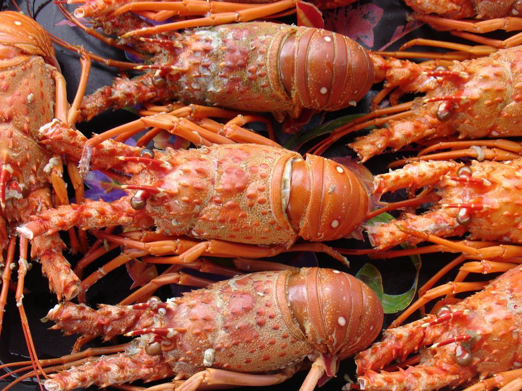 Pousada Barra Do Mundaú المظهر الخارجي الصورة